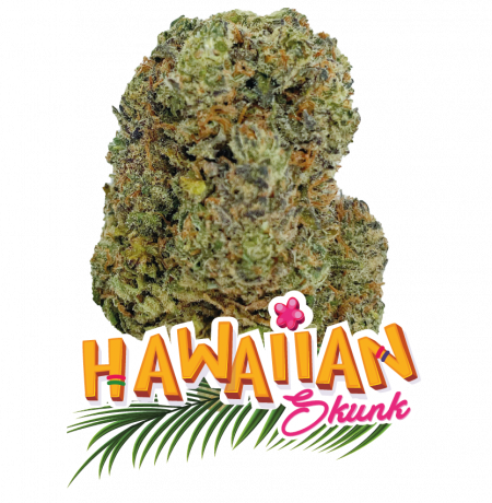 Hawaian Skunk_VISUEL PRODUIT