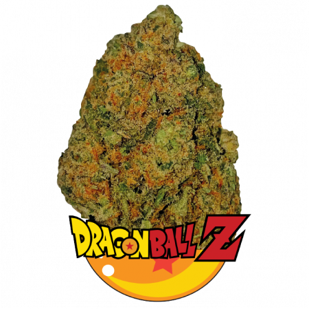 Dragon_Ball_Z_CBD DE PRESTIGE