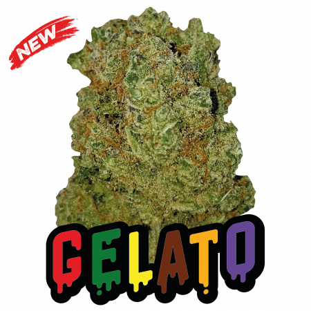 GELATO HAUTE QUALITÉ CBD