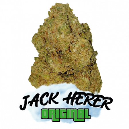 JACK HERER CBD DE PRESTIGE