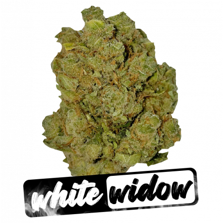 white widow cbd de prestige