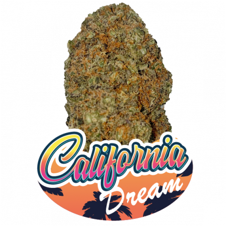 california dream CBD DE PRESTIGE