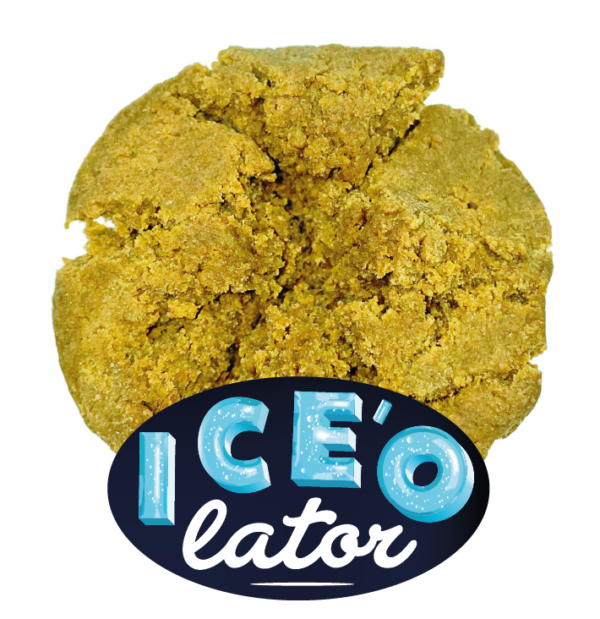 Résine Ice O Lator CBD Haute Qualité