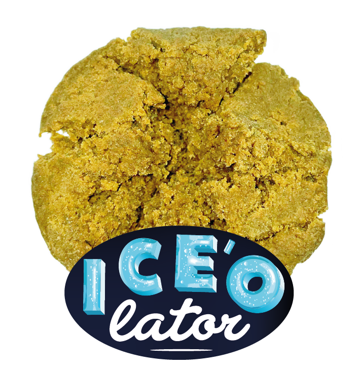 ICE O LATOR HASH - Résine filtrée à froid 