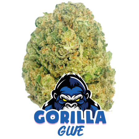 GORILLA GLUE CBD HAUTE QUALITÉ FLEURS DE CBD PREMIUM LIVRAISON EXPRESS COLISSIMO 48H00 EN FRANCE ET EN EUROPE