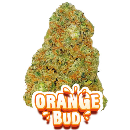 GORILLA GLUE CBD HAUTE QUALITÉ FLEURS DE CBD PREMIUM LIVRAISON EXPRESS COLISSIMO 48H00 EN FRANCE ET EN EUROPE