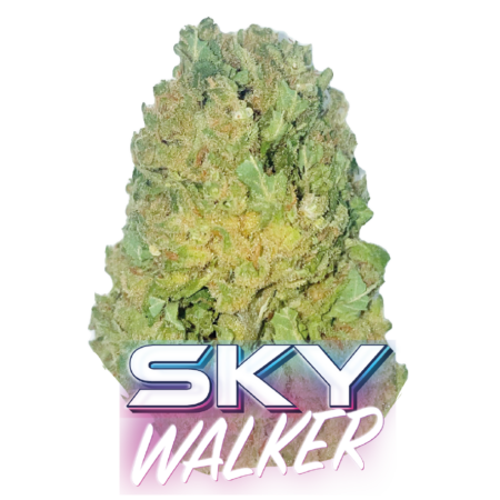 SKYWALKER CBD HAUTE QUALITÉ FLEURS DE CBD PREMIUM LIVRAISON EXPRESS COLISSIMO 48H00 EN FRANCE ET EN EUROPE