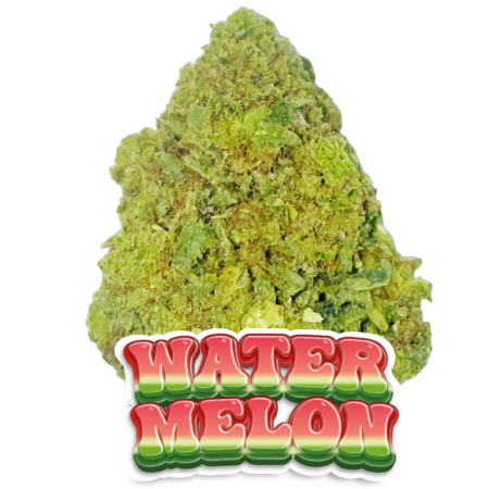 WATER MELON CBD HAUTE QUALITÉ FLEURS DE CBD PREMIUM LIVRAISON EXPRESS COLISSIMO 48H00 EN FRANCE ET EN EUROPE