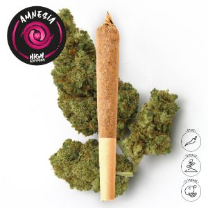 preroll amnesia