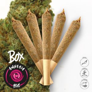 box 5 preroll amnesia