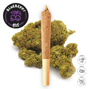 preroll blueberry