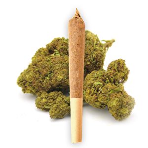 PREROLL BLUEBERRY