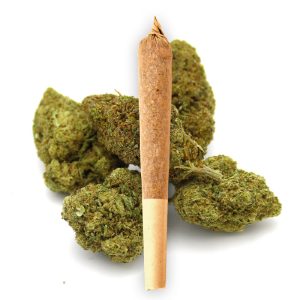 PREROLL GELATO