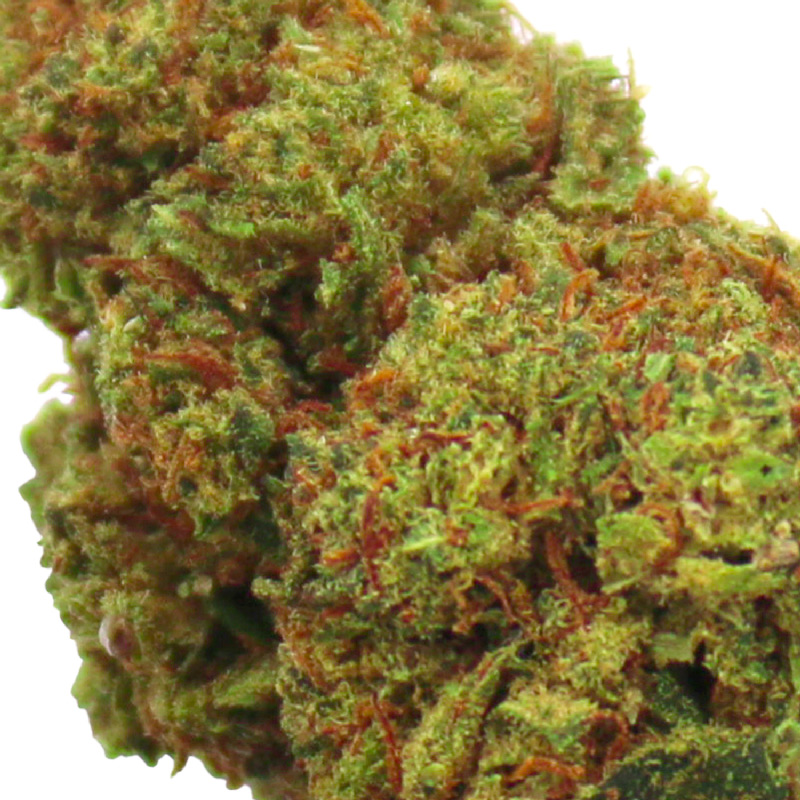 Fleur de CBD Strawberry Sour Diesel