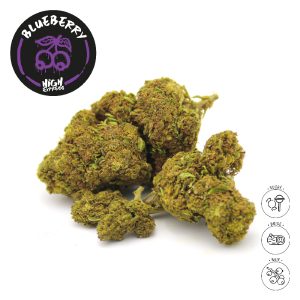 BLUEBERRY
