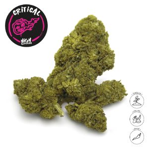 CRITICAL