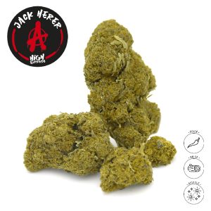 JACK HERER