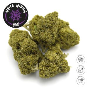 WHITE WIDOW