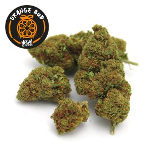 CBD orange bud Highexpress