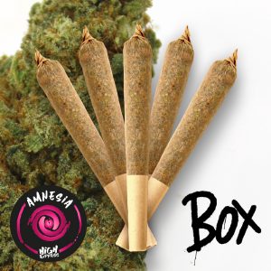 box 5 preroll amnesia