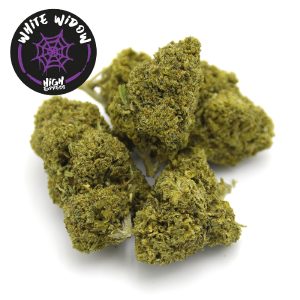 cbd white widow Highexpress